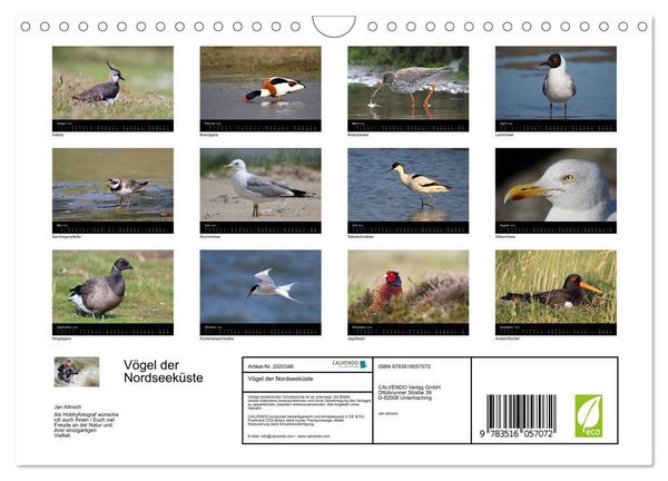 Produktbild: V&ouml;gel der Nordseek&uuml;ste (Wandkalender 2026 DIN A4 quer), CALVENDO Monatskalender