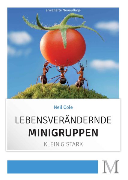 Produktbild: Lebensver&auml;ndernde Minigruppen