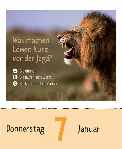 Produktbild: Wie faul ist das Faultier? 2027