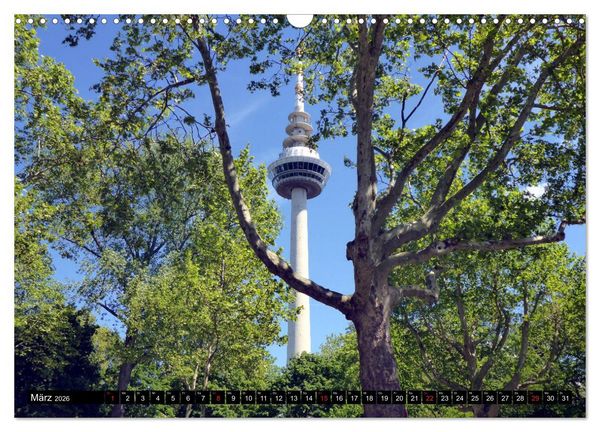Produktbild: Gr&uuml;nes Mannheim (Wandkalender 2026 DIN A3 quer), CALVENDO Monatskalender
