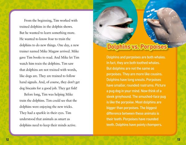 Produktbild: Donohue, M: My Best Friend Is a Dolphin!