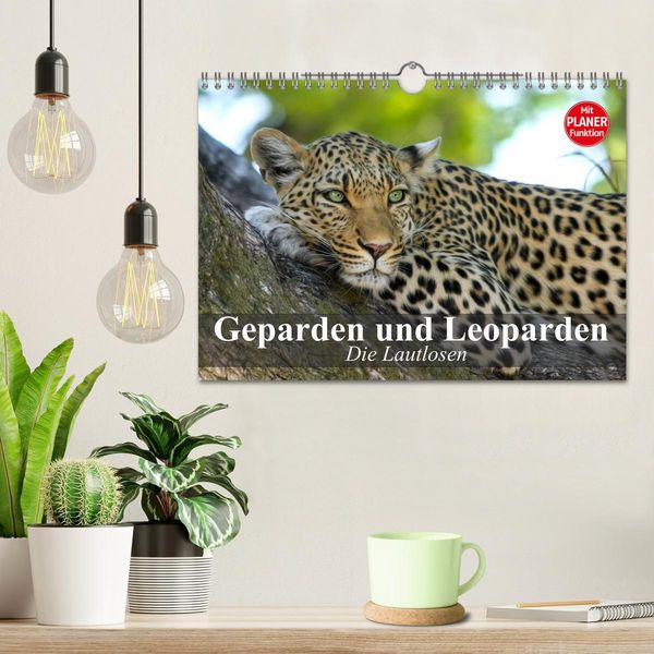 Produktbild: Die Lautlosen. Geparden und Leoparden (Wandkalender 2026 DIN A4 quer), CALVENDO Monatskalender