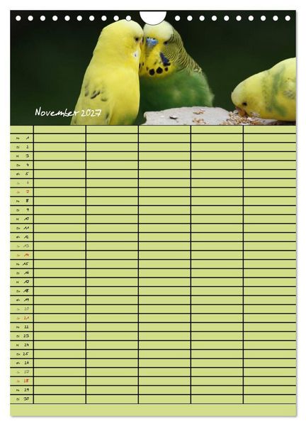 Produktbild: Der Wellensittich-Familienplaner (Wandkalender 2027 DIN A4 hoch), CALVENDO Monatskalender