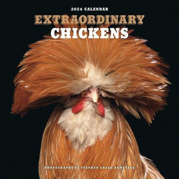 Produktbild: Stephen Green-Armytage: Extraordinary Chickens 2024 Wall Cal