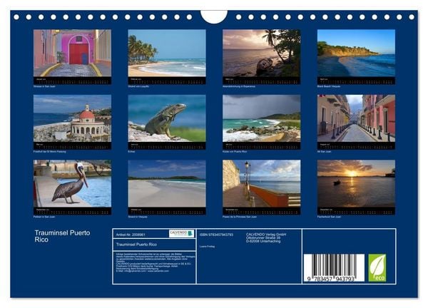 Produktbild: Trauminsel Puerto Rico (Wandkalender 2026 DIN A4 quer), CALVENDO Monatskalender