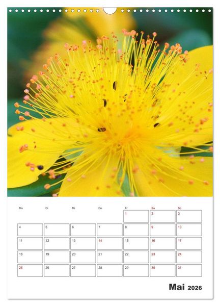 Produktbild: BL&Uuml;TENZAUBER (Wandkalender 2026 DIN A3 hoch), CALVENDO Monatskalender