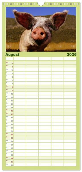 Produktbild: Familienplaner 2026 - Muh, M&auml;h, Miau & Co mit 5 Spalten (Wandkalender, 21 x 45 cm) CALVENDO