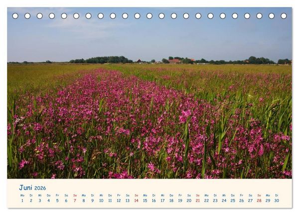 Produktbild: Urlaub auf Borkum (Tischkalender 2026 DIN A5 quer), CALVENDO Monatskalender