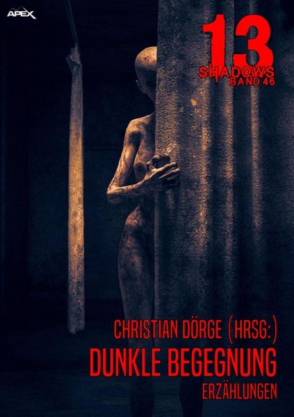 Produktbild: 13 Shadows, Band 46: Dunkle Begegnung