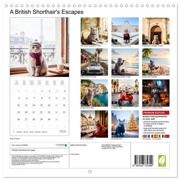 Produktbild: A British Shorthair's Escapes (Wall Calendar 2026 12 &times; 12 Inch) CALVENDO 12 Month Wall Calendar