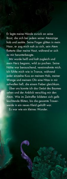 Produktbild: School of Myth & Magic, Band 2 - Der Fluch der Meere