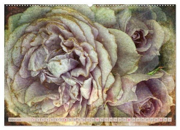 Produktbild: Rosenduft Shabby Chic Style (Wandkalender 2026 DIN A2 quer), CALVENDO Monatskalender
