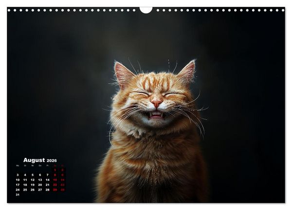 Produktbild: Auch Katzen lachen gern (Wandkalender 2026 DIN A3 quer), CALVENDO Monatskalender