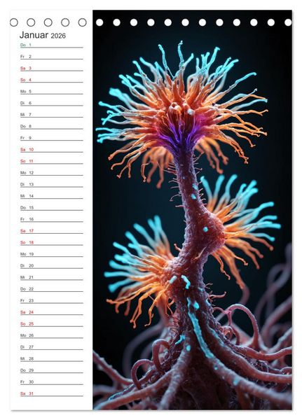 Produktbild: Leuchtende Mikroflora (Tischkalender 2026 DIN A5 hoch), CALVENDO Monatskalender