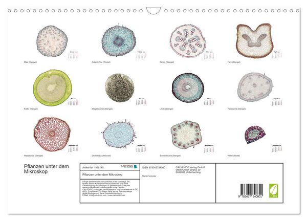 Produktbild: Pflanzen unter dem Mikroskop (Wandkalender 2026 DIN A3 quer), CALVENDO Monatskalender