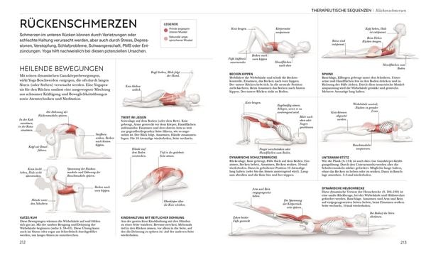 Produktbild: Yoga verstehen - Die Anatomie der Yoga-Haltungen