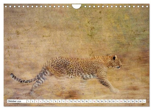 Produktbild: Emotionale Momente: African Dreams (Wandkalender 2026 DIN A4 quer), CALVENDO Monatskalender