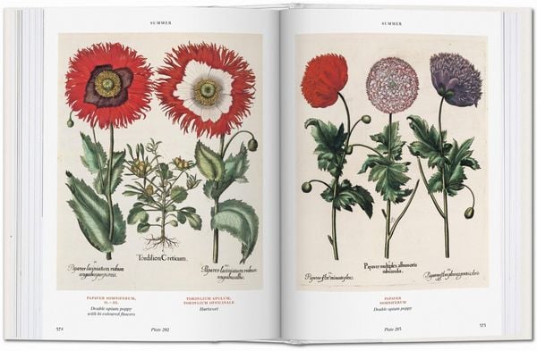 Produktbild: Basilius Besler