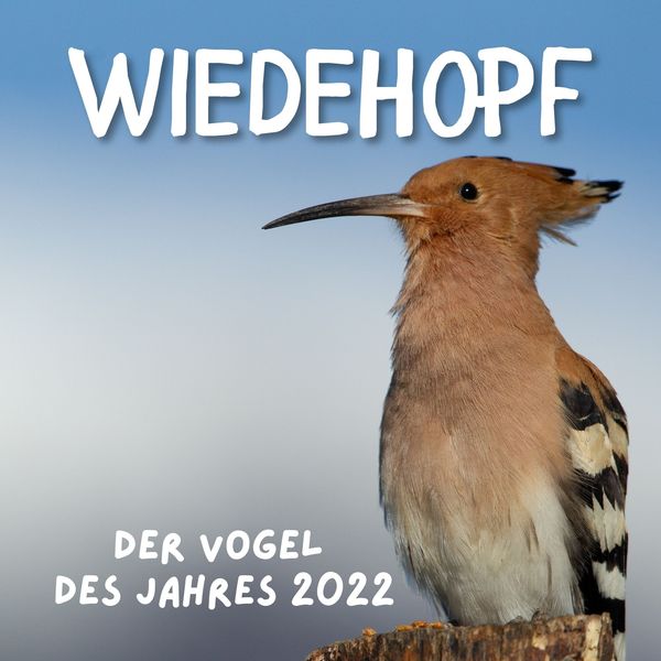 Produktbild: Wiedehopf