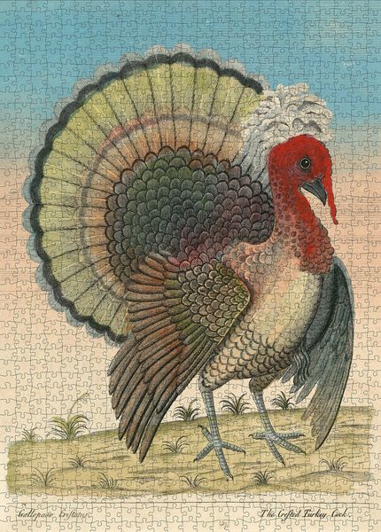 Produktbild: John Derian Paper Goods: Crested Turkey 1,000-Piece Puzzle