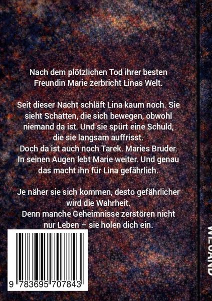Produktbild: Ins pl&ouml;tzliche Nichts