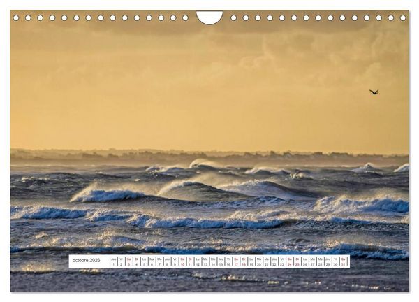 Produktbild: J'adore Le Cotentin (Calendrier mural 2026 DIN A4 vertical), CALVENDO calendrier mensuel