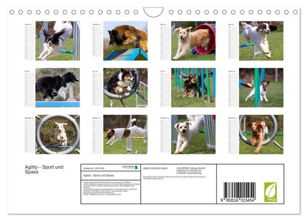 Produktbild: Agility - Sport und Spass (Wandkalender 2026 DIN A4 quer), CALVENDO Monatskalender
