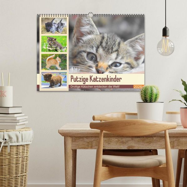 Produktbild: Putzige Katzenkinder. Drollige K&auml;tzchen entdecken die Welt! (Wandkalender 2026 DIN A3 quer), CALVENDO Monatskalender