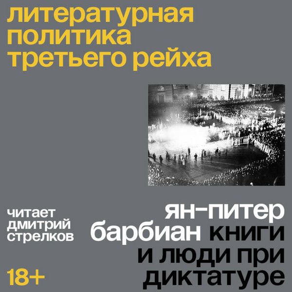 Literaturnaya politika Tretego reyha - Jan-Peter Barbien, Audio, 9785042274268