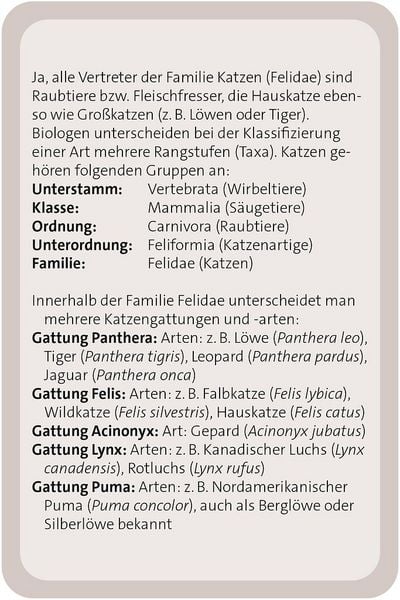 Produktbild: Das gro&szlig;e Katzen Quiz