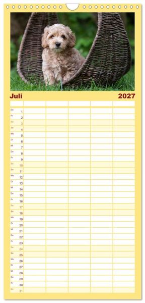Produktbild: Familienplaner 2027 - Maltipoo Welpen mit 5 Spalten (Wandkalender, 21 x 45 cm) CALVENDO