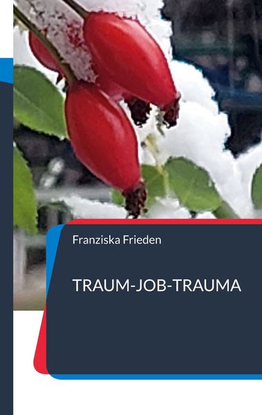 Produktbild: "Traum-Job-Trauma"
