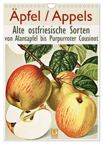 Produktbild: &Auml;pfel/Appels. Alte ostfriesische Sorten (Wandkalender 2026 DIN A4 hoch), CALVENDO Monatskalender