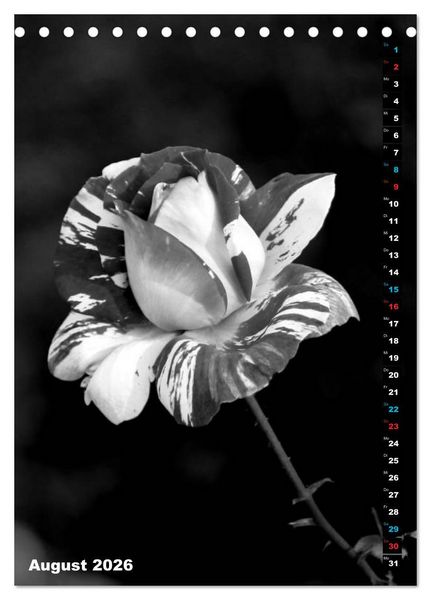 Produktbild: Blumige Graustufen - Schwarz und Wei&szlig; (Tischkalender 2026 DIN A5 hoch), CALVENDO Monatskalender