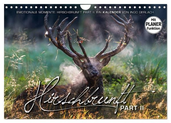 Produktbild: Emotionale Momente: Hirschbrunft. Part II. (Wandkalender 2026 DIN A4 quer), CALVENDO Monatskalender