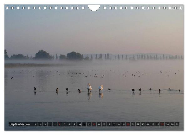 Produktbild: Zauberhafter Bodensee (Wandkalender 2026 DIN A4 quer), CALVENDO Monatskalender