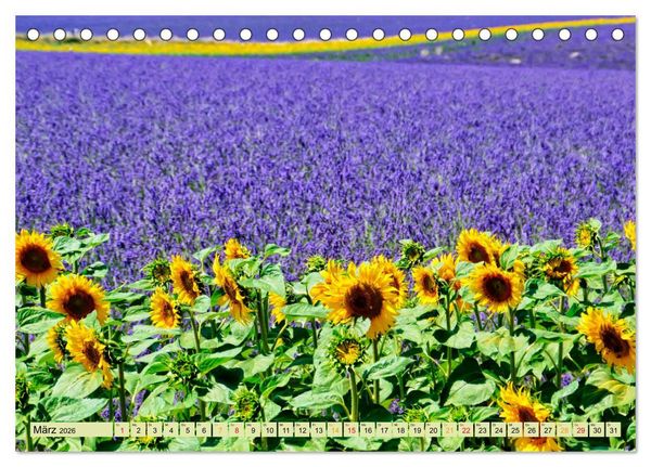 Produktbild: Traum-Ziele - Lavendel der Provence, Frankreich (Tischkalender 2026 DIN A5 quer), CALVENDO Monatskalender
