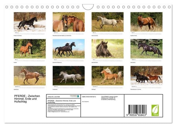 Produktbild: PFERDE - Zwischen Himmel, Erde und Hufschlag (Wandkalender 2027 DIN A4 quer), CALVENDO Monatskalender
