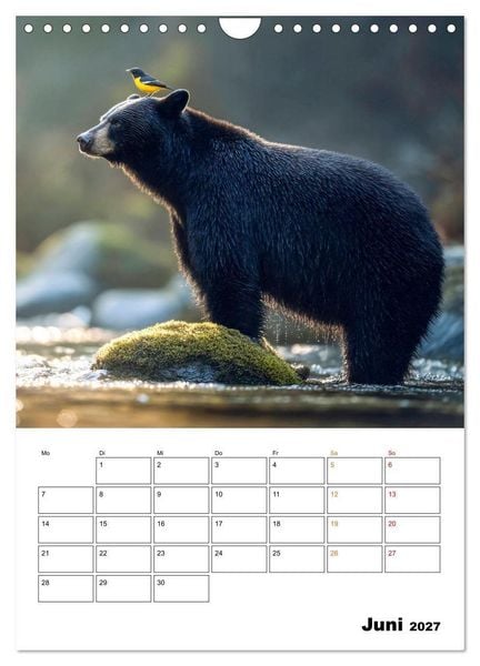 Produktbild: Ein Herz und eine Schnauze - Ein tierisch buntes Miteinander (Wandkalender 2027 DIN A4 hoch), CALVENDO Monatskalender