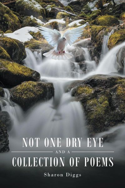 Produktbild: Not One Dry Eye and a Collection of Poems