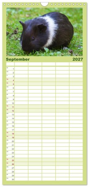 Produktbild: Familienplaner 2027 - Kuschelige Meerschweinchen mit 5 Spalten (Wandkalender, 21 x 45 cm) CALVENDO
