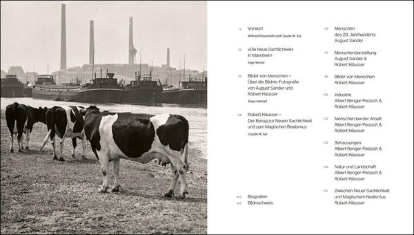 Produktbild: Sachlich neu