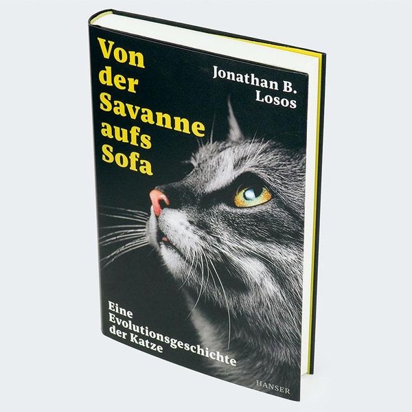 Produktbild: Von der Savanne aufs Sofa