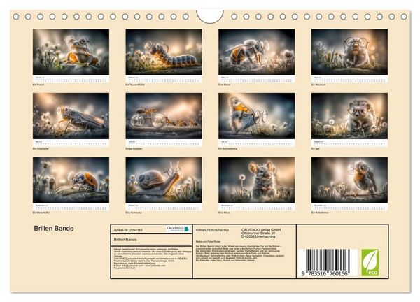 Produktbild: Brillen Bande (Wandkalender 2027 DIN A4 quer), CALVENDO Monatskalender