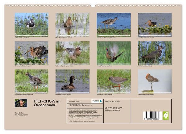 Produktbild: PIEP-SHOW im Ochsenmoor (hochwertiger Premium Wandkalender 2026 DIN A2 quer), Kunstdruck in Hochglanz