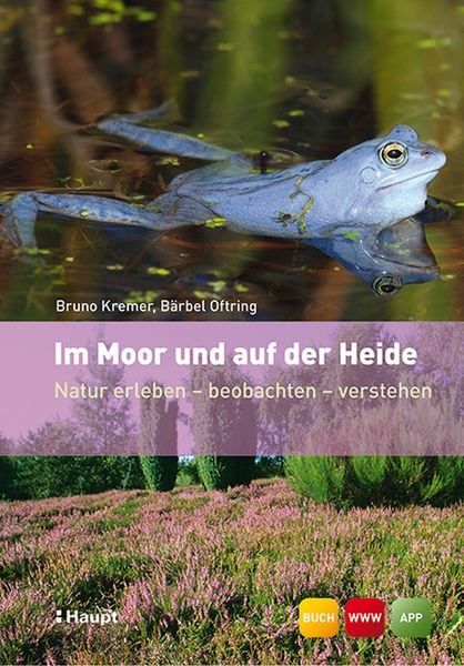 Im Moor und auf der Heide, Taschenbuch von Bruno P. Kremer , Bärbel Oftring, Haupt Verlag, 9783258077772