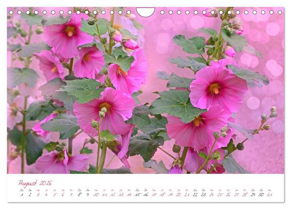 Produktbild: Bl&uuml;tentr&auml;ume in violett und pink (Wandkalender 2026 DIN A4 quer), CALVENDO Monatskalender