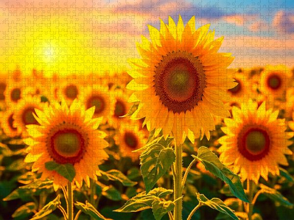 Produktbild: CALVENDO Puzzle Ein Motiv aus dem Kalender Meditation und innerer Frieden | 2000 Teile Lege-Gr&ouml;&szlig;e 90x67cm Foto-Puzzle f&uuml;r gl&uuml;ckliche Stunden