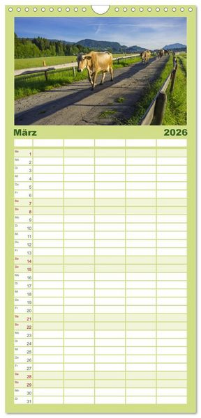 Produktbild: Familienplaner 2026 - Allg&auml;uer Sch&ouml;nheiten Allg&auml;u - Land der K&uuml;he mit 5 Spalten (Wandkalender, 21 x 45 cm) CALVENDO