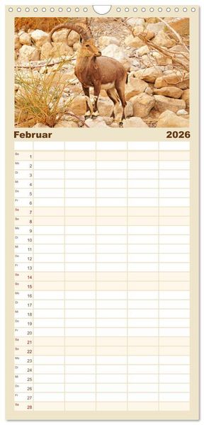 Produktbild: Familienplaner 2026 - Zwischen Tradition und Moderne: Israel mit 5 Spalten (Wandkalender, 21 x 45 cm) CALVENDO